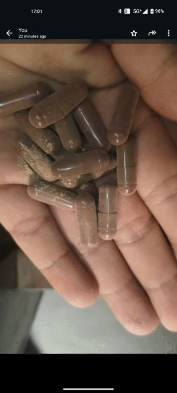 UpaVeda’s Ayurveda